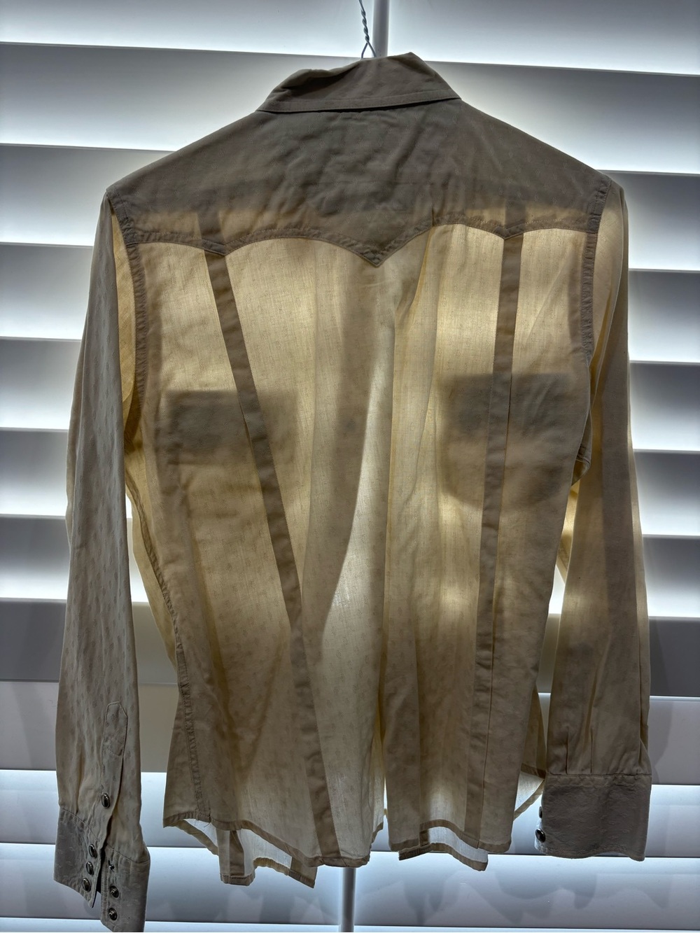 Button down - Picture 2 of 2